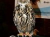 img_0093-edit-800a