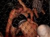 img_7806-edit-800x600