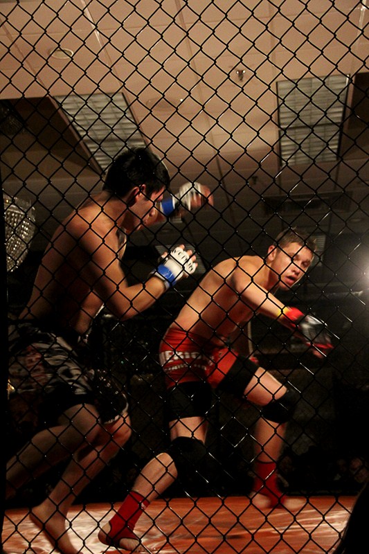 img_7837-edit-800x600