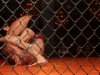 img_9440-edit-800x600