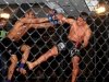 img_9554-edit-800x600