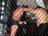 img_9617-edit-800x600