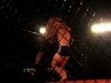 img_5696-edit_800x600