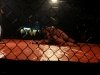 img_5710-edit_800x600