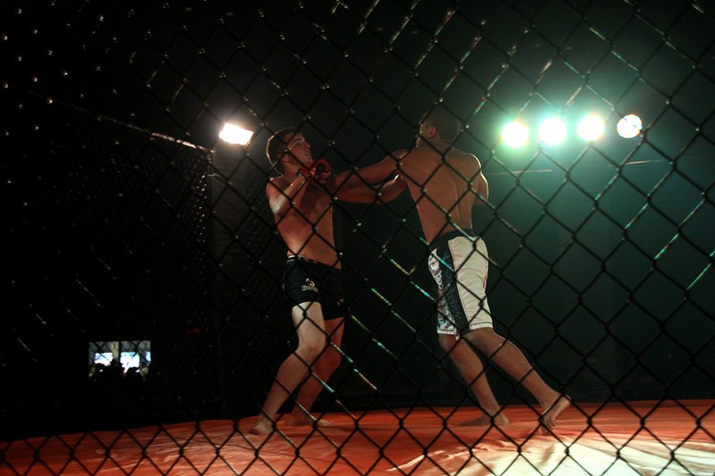 img_5181-edit_800x600