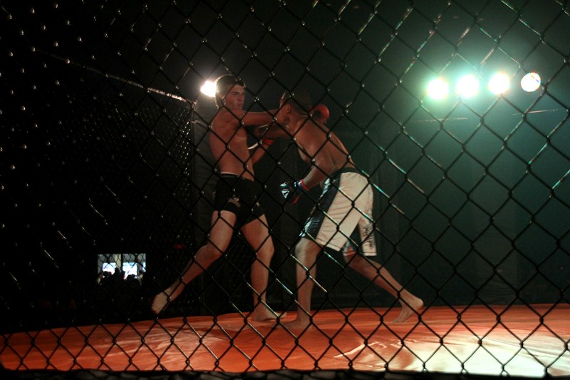 img_5182-edit_800x600