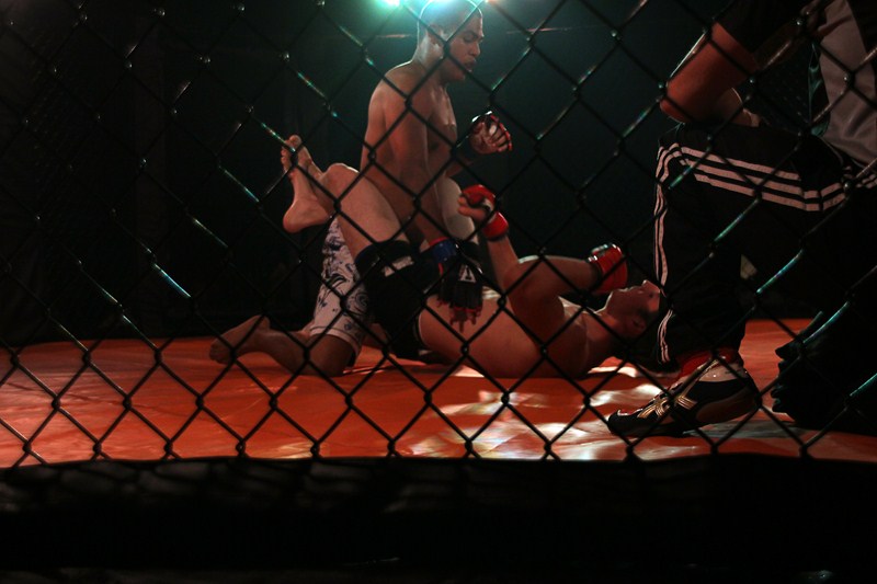 img_5206-edit_800x600
