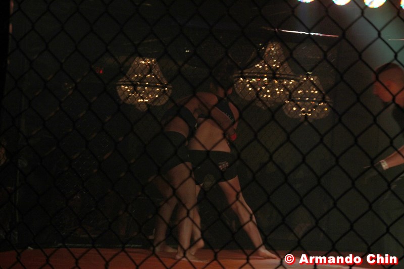 img_7737_edit-800a