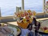 100510-at-sea-img_9849edit2-800a