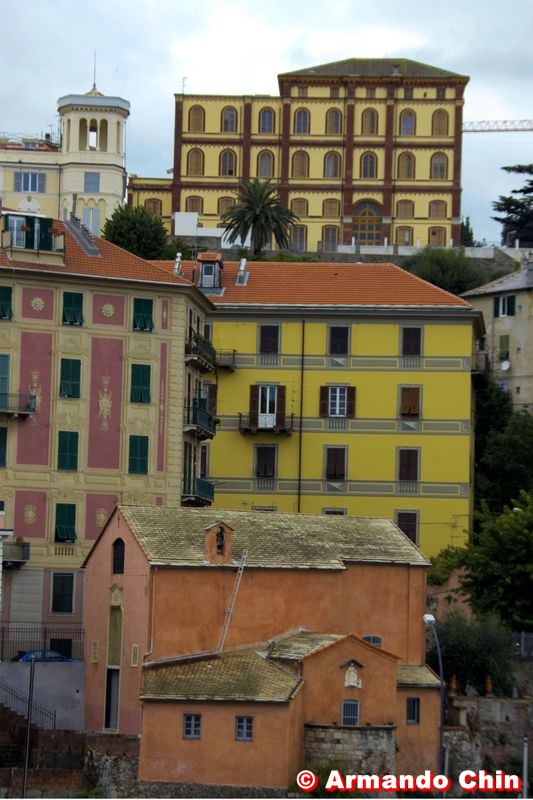 100210-savona-img_9082edit2-800a