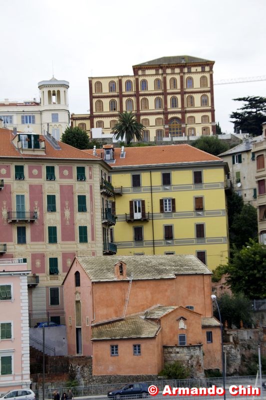 100210-savona-img_9082edit3-800a
