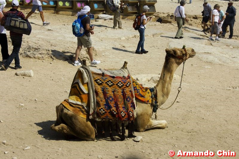 100610-alexandria-pyramids-img_9951edit2-800a
