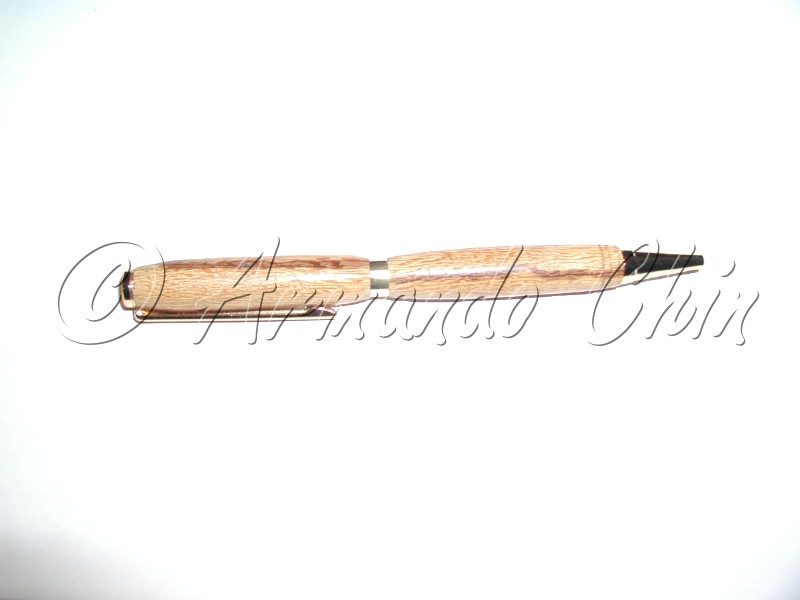 Pen_19